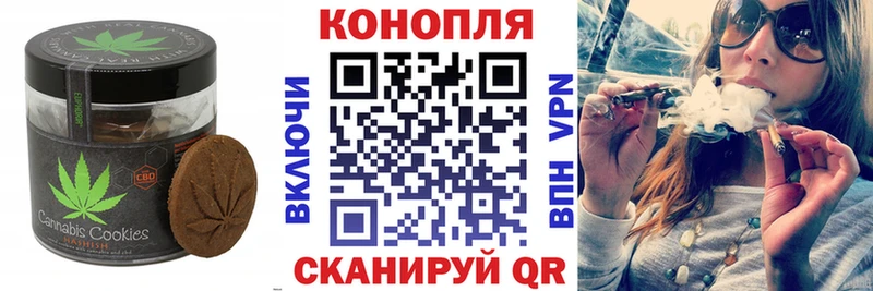 наркота  Рошаль  Cannafood конопля 