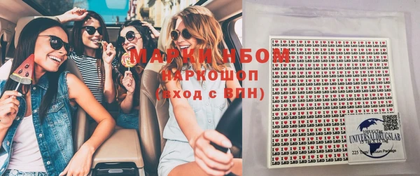 тгк Пересвет