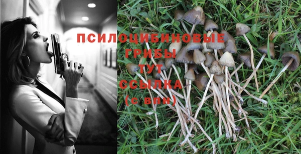mix Алексин