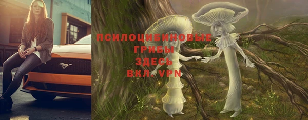 спиды Алексеевка